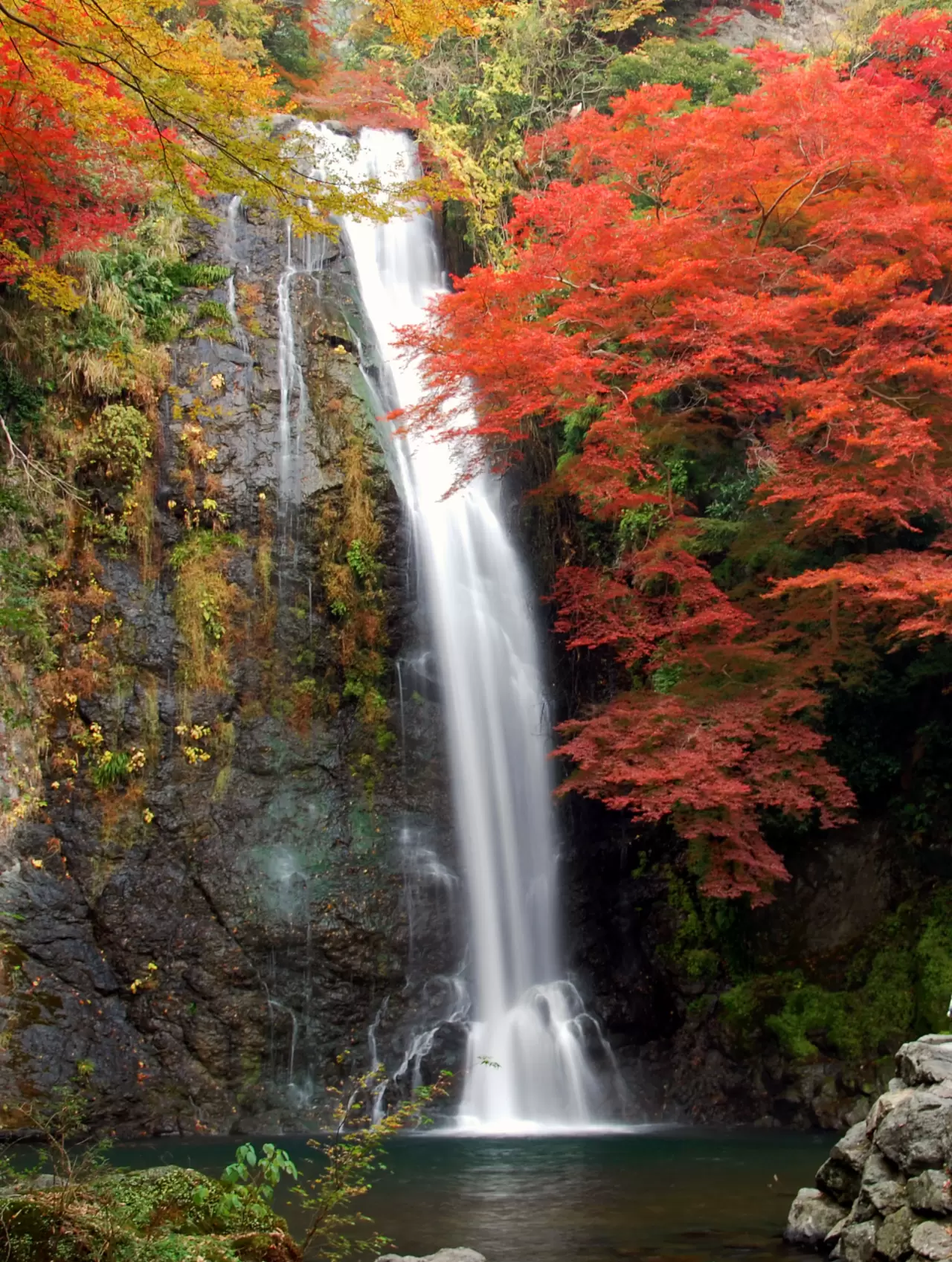 箕面 の 滝