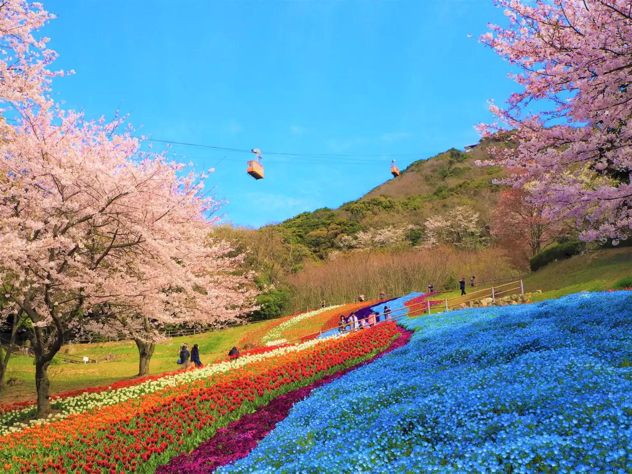 火 の 山 公園