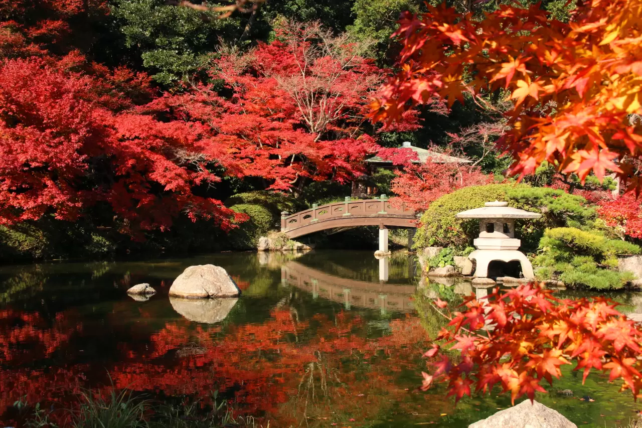 Chofu Garden - Access, Business Hours, Nearby Spots - Japan Travel 