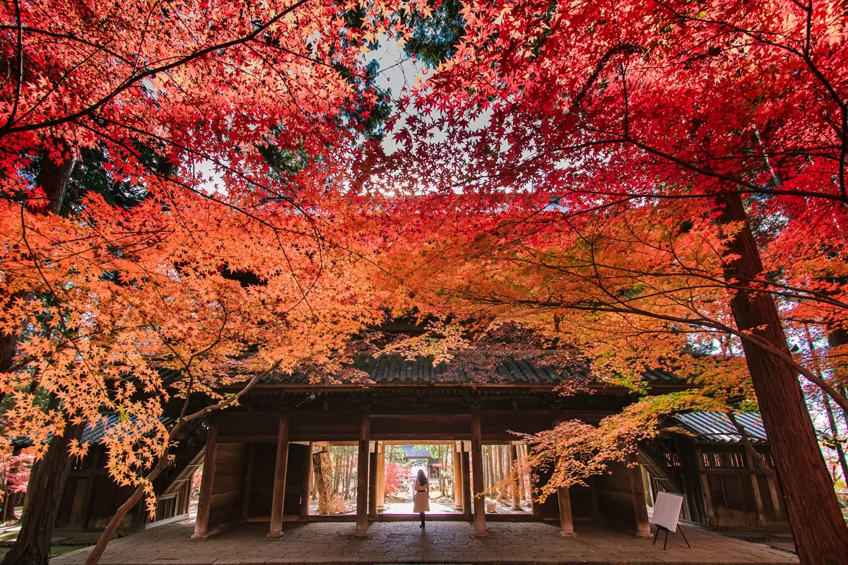 当時のメディア報道・掲載写真