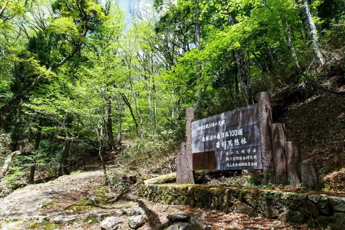 クリと日本文明