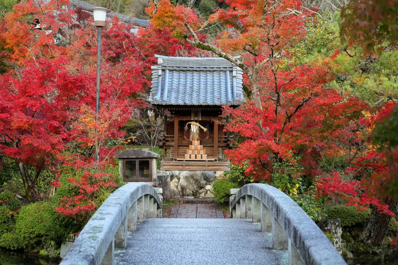 永 观 堂