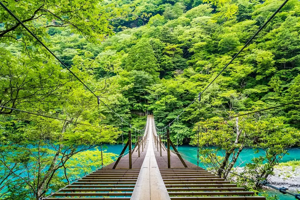 Dream Suspension Bridge (Sumata Gorge) - Access, Business