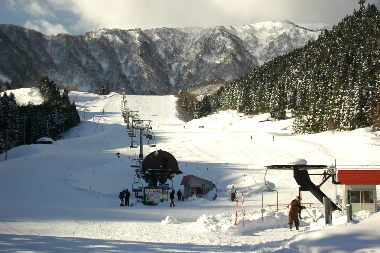 氷ノ山 国際 スキー 場