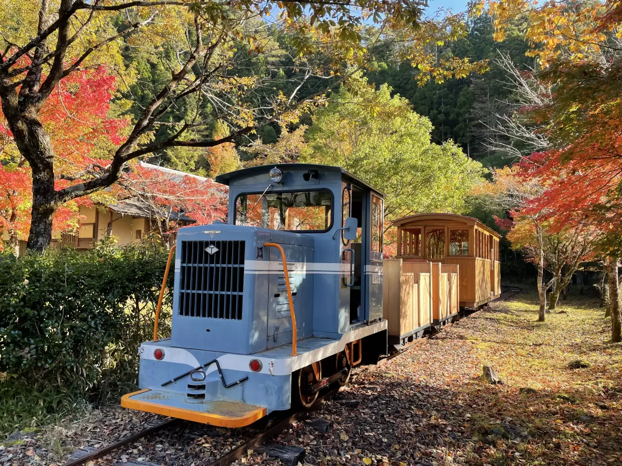 魚梁瀬森林鉄道のアクセス・営業時間・周辺スポット - 日本の観光