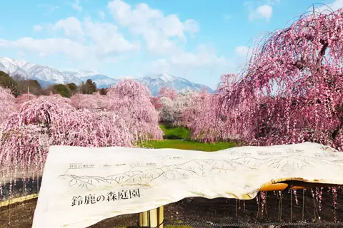 ドイリー1183❤️草原のflower garden✨特大77×43cm ドイリー1183❤️草原のflower garden✨特大77×43cm