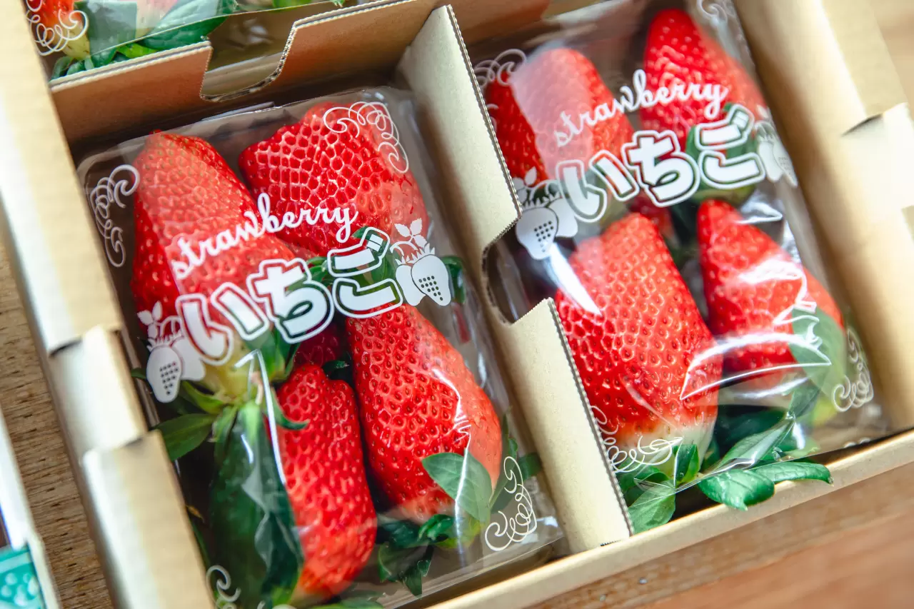 加藤農園いちご直売所のアクセス・営業時間・周辺スポット - 日本の