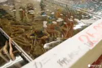 境港さかなセンター