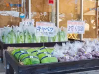 道の駅 黒井山グリーンパーク