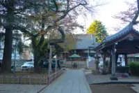 新井薬師 梅照院