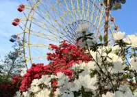 Kezoji Park