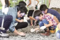 Exciting Dinosaur Excavation Land