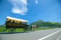 Yufuin Horse Carriage (Tsuji-Basha)