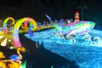 Izu Kogen Grand Illumination