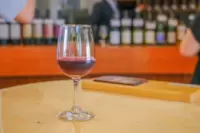 나카이즈 와이너리 힐스 （Nakaizu Winery Hills）
