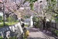 Sangubashi Park