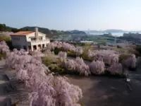 하나미야마 하우스 안더나흐