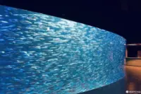 Parque Marino Noboribetsu Nixe