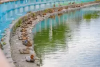 สวนสาธารณะเฮียวโกะซุยคิน