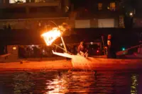 Cormorant fishing on the Nagara River in Gifu