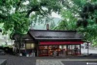 icho cafe （いちょうカフェ）