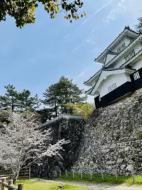 Yoshida Castle