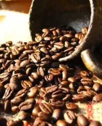 Coffee Workshop Shiinoki