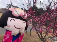 Sobu Plum Blossoms and Sobu Pond Plum Grove