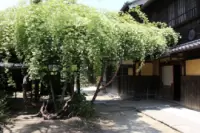 小栗家住宅（萬三商店(MAN-SUN)