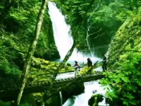 乗鞍山麓　五色ヶ原の森