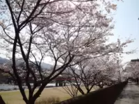 Shirasagi Green Park