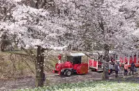 Hành lang hoa Tottori