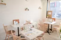 개를 사랑하는 도코나메