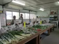 ทากาโนะซาโตะ