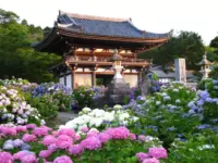 간논지 (관음사)