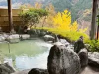 葛藤桥酒店和大步危峡谷温泉旅馆