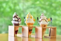 ฟอเรสต์ คาเฟ่ คิเซกิ