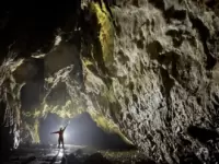 NIIMI ORIGINS Powered by POLEPOLE