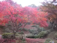 야쿠노 다카하라 호잔 공원