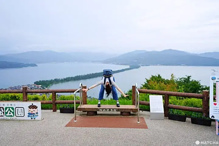 天桥立伞松公园 | MATCHA -日本旅游网络杂志