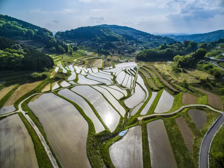 大垪和西梯田