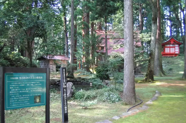 大代神社