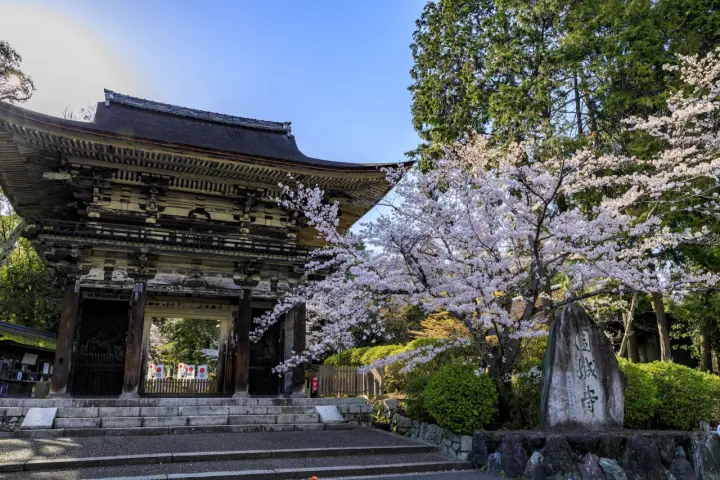 Sonojoji Temple (Mii-dera Temple)
