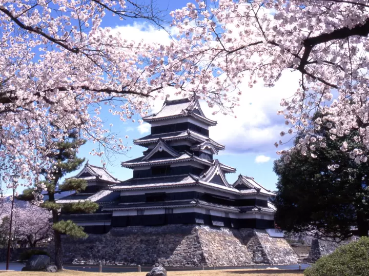 Matsumoto Castle