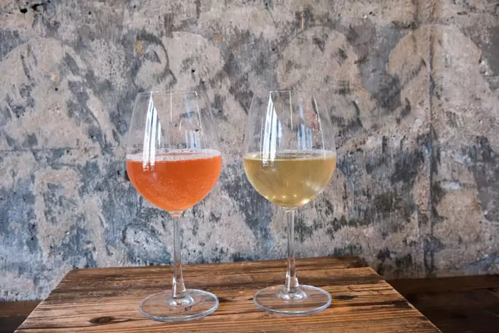 PLUS KOMBUCHA