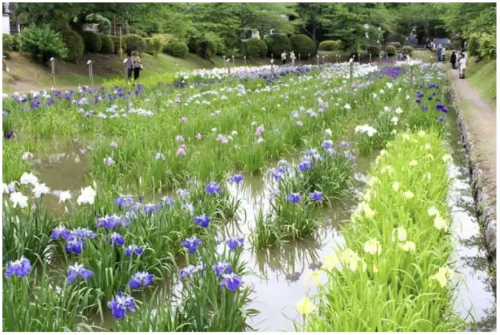 吉香公園